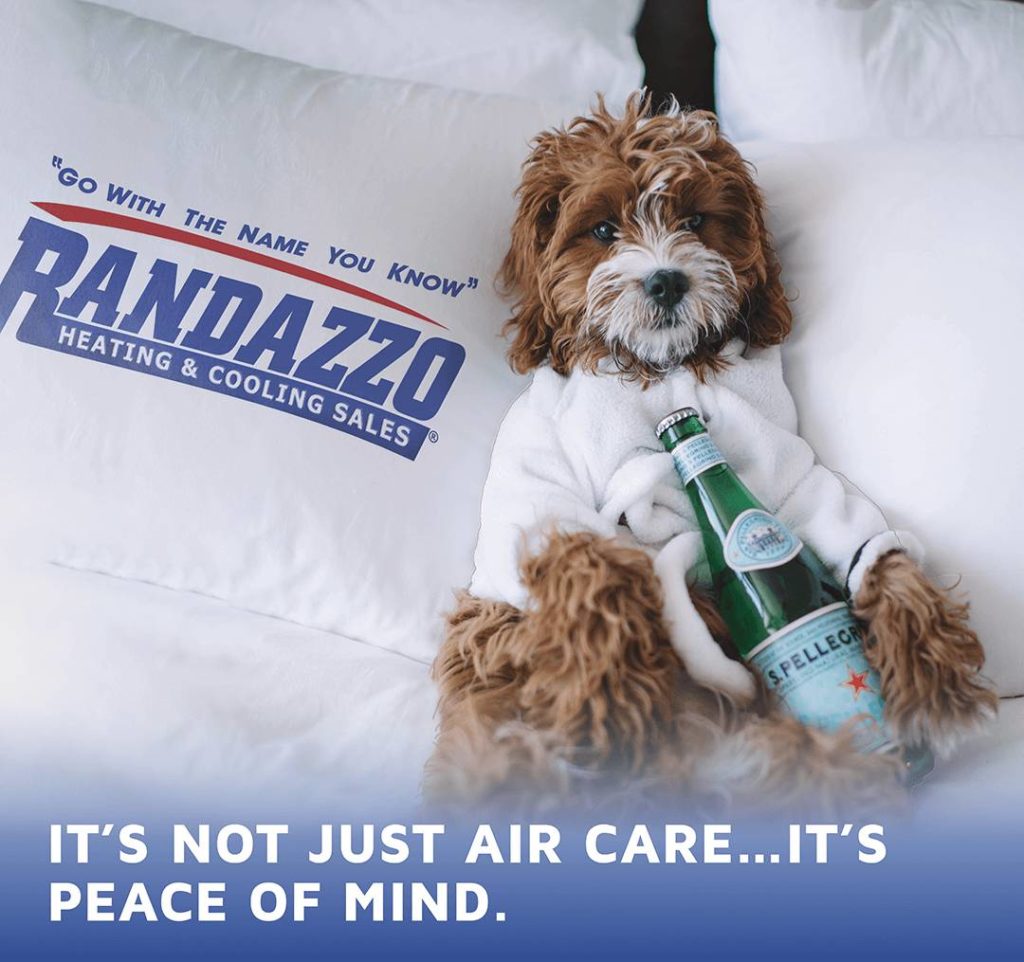 Air Care Promotion - Image of a dog on a Randazzo Pillow with a pellegrino