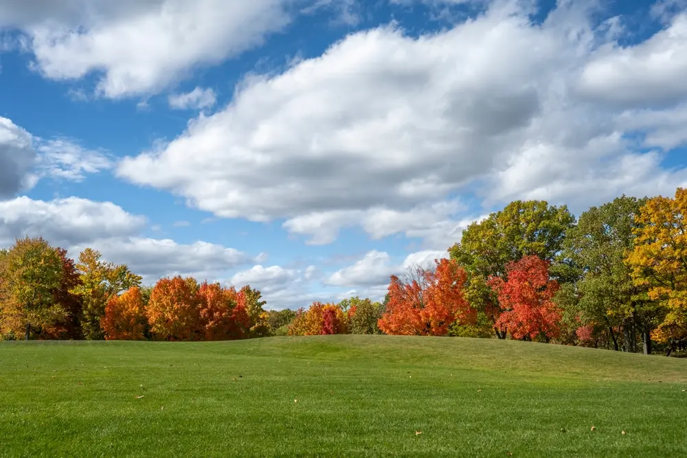 view of Marshbank Park in West Bloomfield, MI