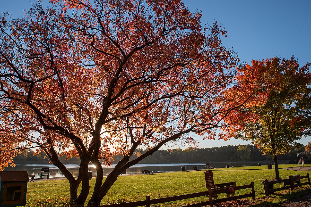 view of Spencer Park in Rochester Hills, MI where Randazzo performs AC repair and installation.